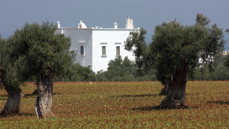 La campagna della zona nord della provincia