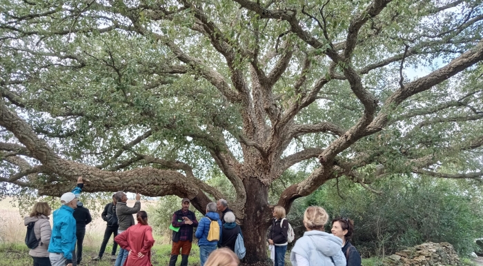 Brindisi. Bosco Lucci. Foto dal profilo Facebook del Bosco dei Lucci