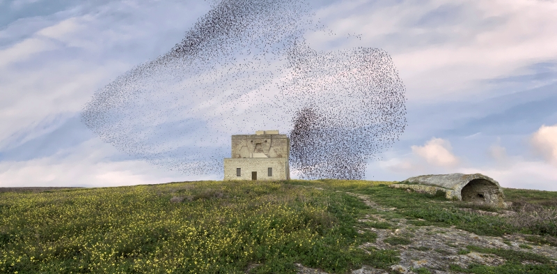 Torre Guaceto - ph. Consorzio di Gestione di Torre Guaceto