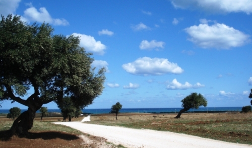 <em>Ambiente & Natura</em> - Il patrimonio paesaggistico e le aree di interesse ambientale