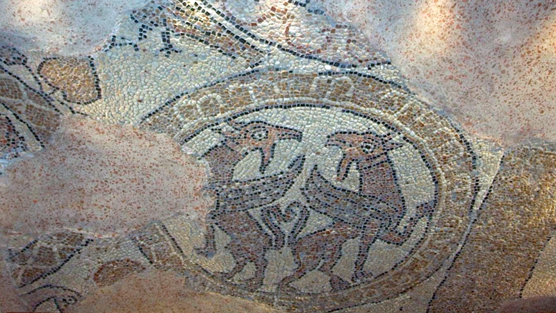 Brindisi. Cattedrale della Visitazione e San Giovanni Battista. Frammento di pavimento musivo