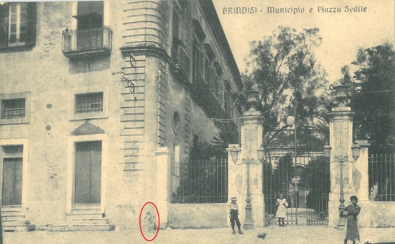 Fig.7: Vecchio municipio di Brindisi sorto sull'area dove sorgeva la chiesa della Maddalena. Il paracarro evidenziato in rosso è l'animale stiloforo oggi conservato nel Museo Archeologico Provinciale
