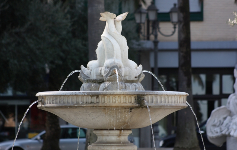 Brindisi. La Fontana dei Delfini