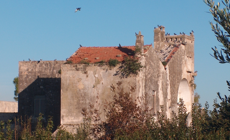Brindisi. Torre colombaia presso la Masseria Pigna Flores