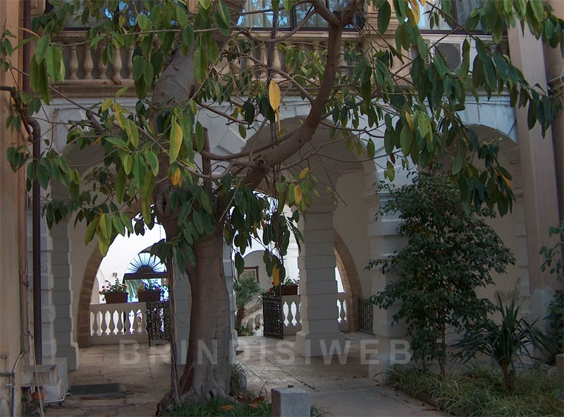 Brindisi. Palazzo Montenegro. Vista dal giardino verso la corte
