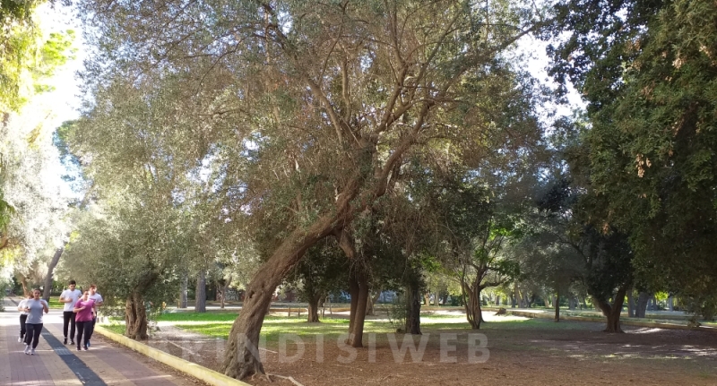 Brindisi. Il parco dell'ex Il sanatorio Cesare Braico - ph. G. Membola 2020