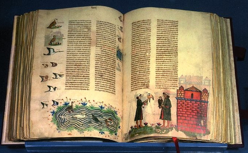 Il celebre trattato "De arte venandi cum avibus" - Sull'arte di cacciare con gli uccelli