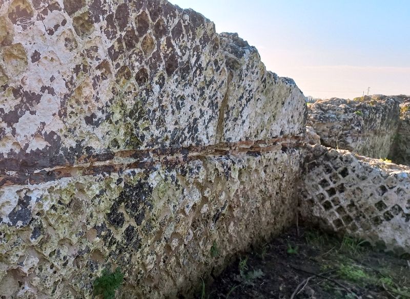 Brindisi. Località Apani. Il viadotto sulla Via Appia-Traiana. Particolare del rivestimento esterno in opus reticulatum