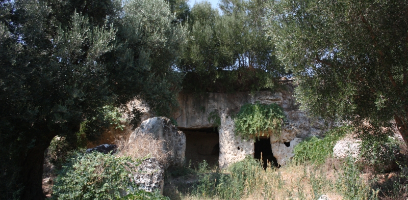 Fasano. Lama d'Antico