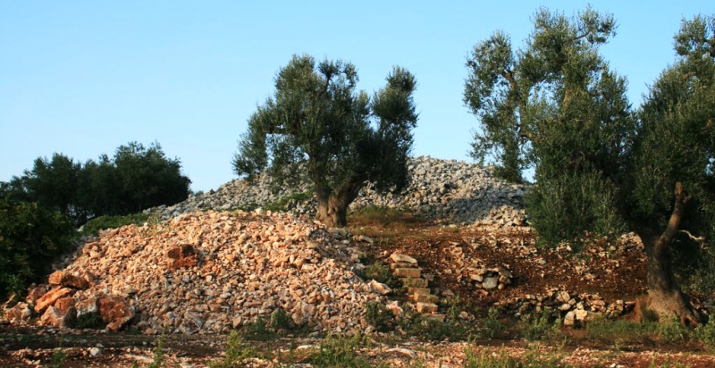 Specchia Capece, in agro di Ceglie Messapica. Foto da Passaturi.it