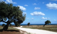 I luoghi e i paesi della Provincia
