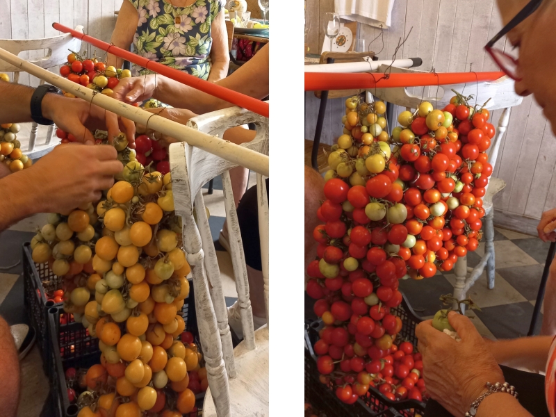 Le fasi di preparazione delle <em>pennule</em> di pomodori