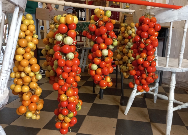 Le <em>pennule</em> di pomodori per l'inverno