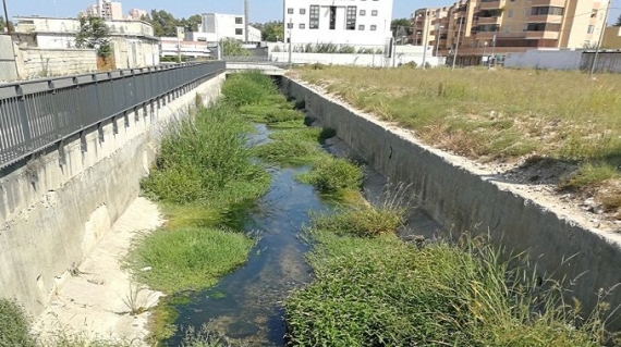 Brindisi. Canale Patri (Canalicchio)