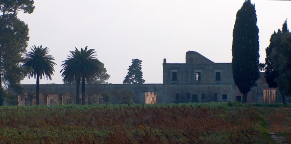 Masseria Angelini a Tuturano