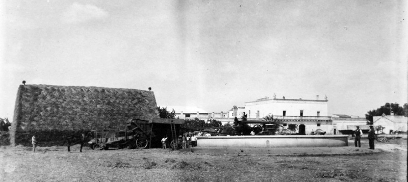 Masseria Masciullo (coll. Famiglia Zullo)