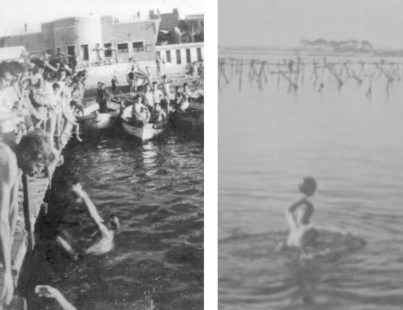 A sx: Gare di nuoto con partenza dal pontile di Lido Sant'Apollinare nel 1951; a dx: Ennio Grasso nel campo di allenamento della spiaggia di Marimisti, sullo sfondo i pali per l'allevamento delle cozze utilizzato per i giri di allenamento.(1)