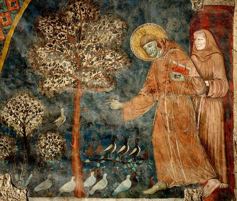San Francesco predica agli uccelli. Affresco Basilica inferiore di San Francesco d'Assisi