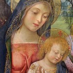 Attività 2019 - 2020