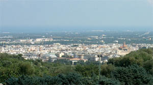Fasano vista dalla Selva