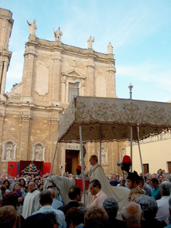 The Adorned Horse in Cethedral square